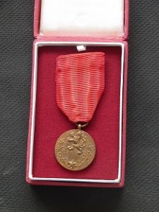 Medaile Za službu vlasti