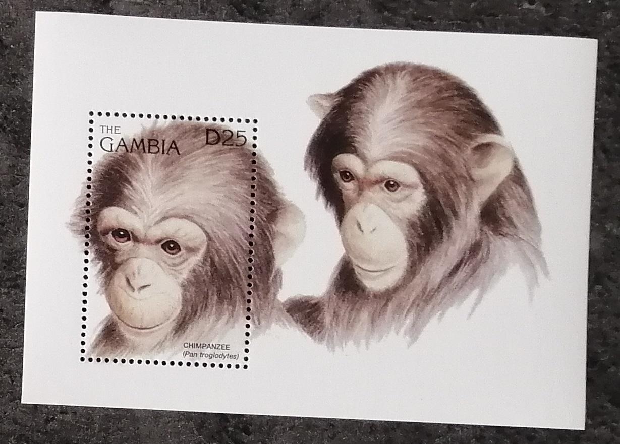 Gambia 1996 Bl.285 6,5€ Fauna Západnej Afriky, Opice a primáty - Známky fauna