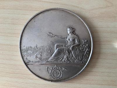 Stříbrná Medaile, Severočeská výstava Most 1898