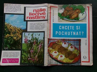 Kniha Klasika kuchařka Hájková Chcete si pochutnat ? domácí  pokrmy 