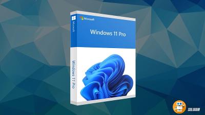Windows 11 Pro - Doživotní