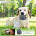 Nezničiteľná pískacia hračka pre psov Toozey /sova/ od 1 Kč |087| - Psy a potreby na chov
