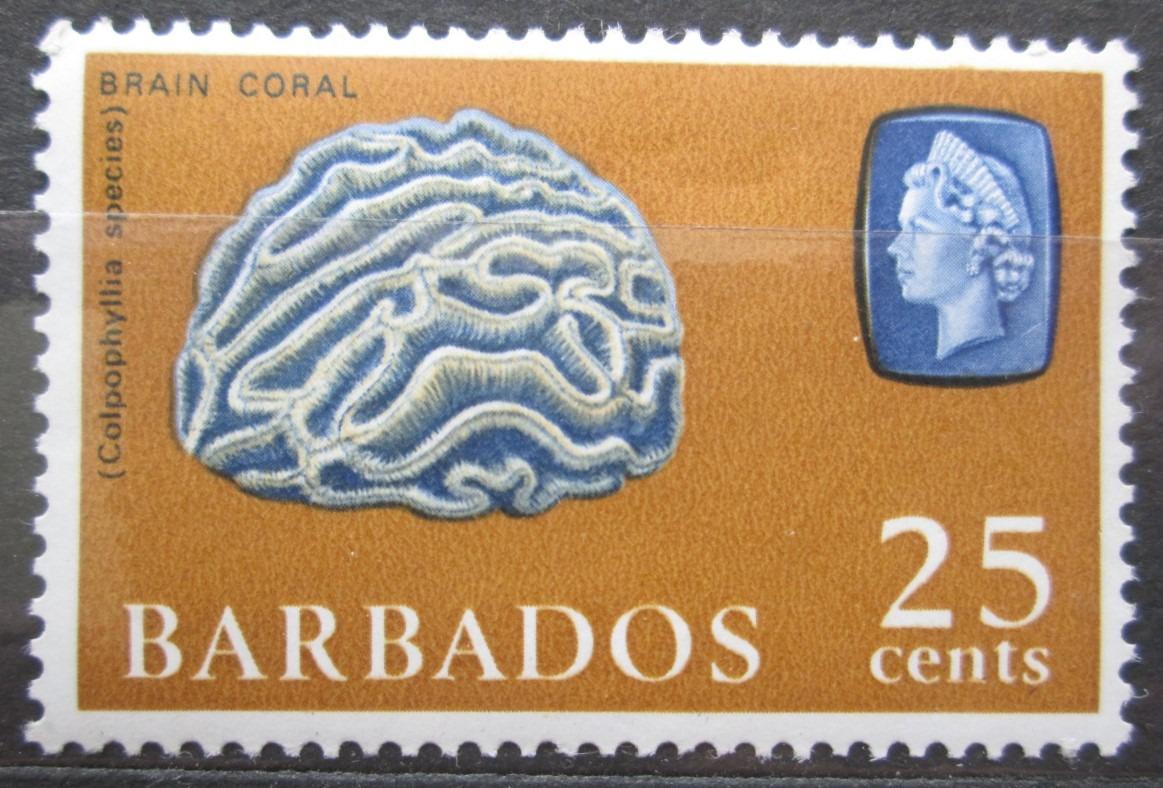 Barbados 1965 Mozgový koral Mi# 244 0524 - Tematické známky