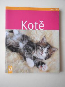 KOTĚ knížka jak na to s péči o koťata.