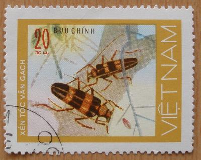 Fauna - Hmyz - / ʘ raz. - Vietnam