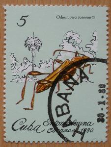 Fauna - Hmyz - / ʘ raz. - Kuba