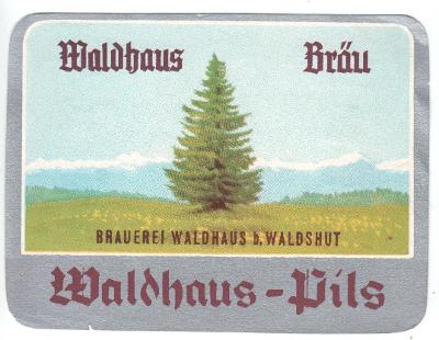 Waldhaus 05