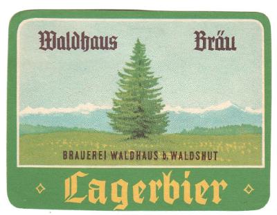 Waldhaus 06