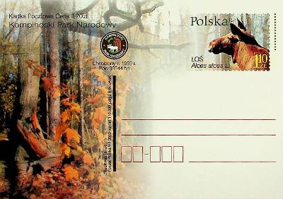 Celina Polsko fauna