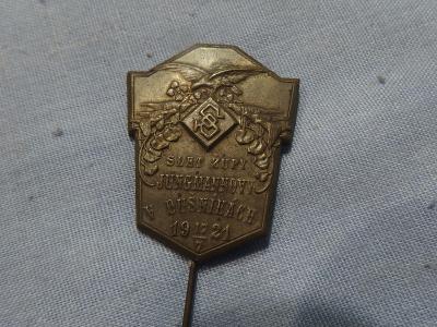 10- Starý odznak-příležitostní - SLET ŽUPY JUNGMANNOVY - DUŠNÍKY 1921