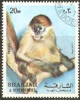 Sharjah 1972 opice  