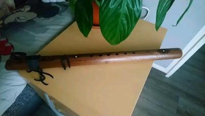 Hudobný nástroj indianska flauta Earth Tóne Basova H orech 