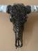 Autentická byvolia lebka v metalickom laku s dlhými rohmi. Pôvod: Bali - Starožitnosti a umenie