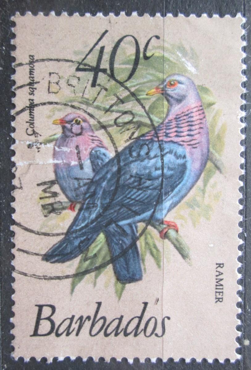 Barbados 1982 Holub šedobřichý Mi# 552 Kat 6€ 0650 - Tematické známky