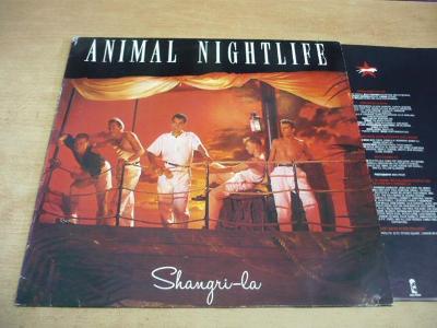 LP ANIMAL NIGHTLIFE / Shangri-la