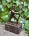 Bronzová socha soška Tenista tenis - Milo - Starožitnosti a umenie