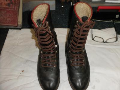 Staré kožené boty, sokol ? vojenské ?
