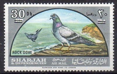 Sharjah-Holub skalní 1966**  Mi.268/přetisk nová měna/ 140 €