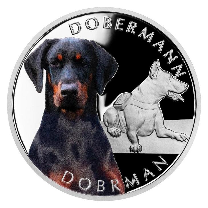 Strieborná minca Psie plemená - Doberman proof - Numizmatika