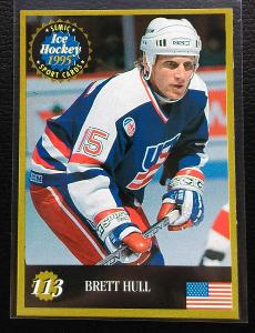 1995 Semic Hockey USA #113 Brett Hull *Dallas Stars, Detroit, St.Luis 