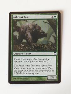 MTG Ashcoat Bear