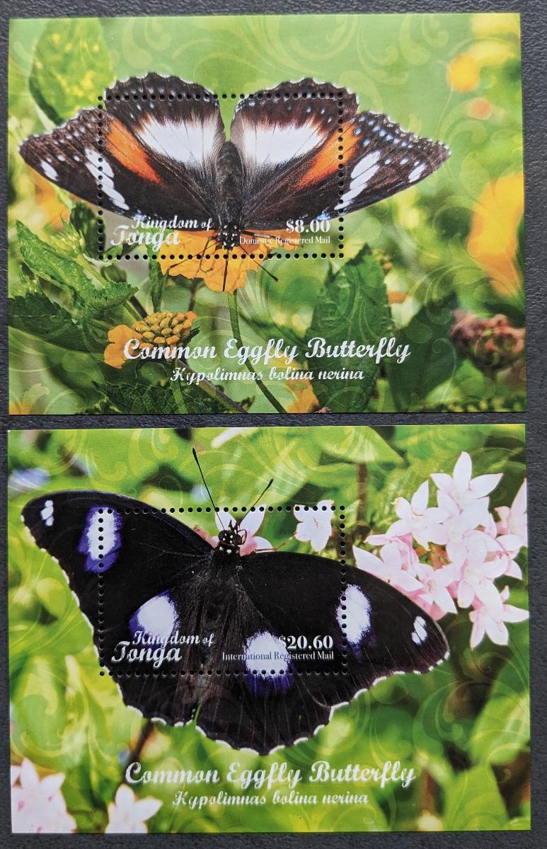 Tonga 2018, fauna motýle, 2ks aršík, kat. cena 36 Euro! - Tematické známky