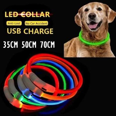 USB nabíjecí obojek pro psy dobíjecí LED trubice  blikající noční