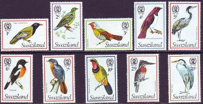 Ptáci - Svazijsko