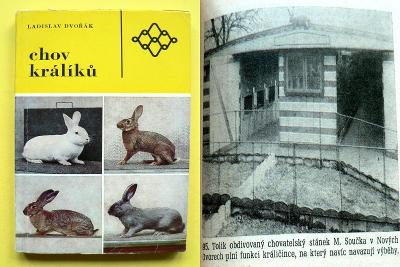 🐰 🐇 🐰 Chov králíků (1973) 🐰 🐇 🐰		