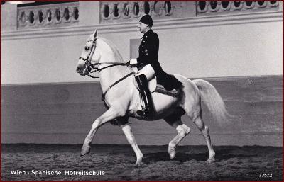 Koně (zvířata) * Španělská jezdecká škola, propagační * M1793