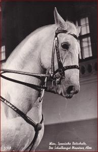 Koně (zvířata) * Španělská jezdecká škola, propagační * M1794