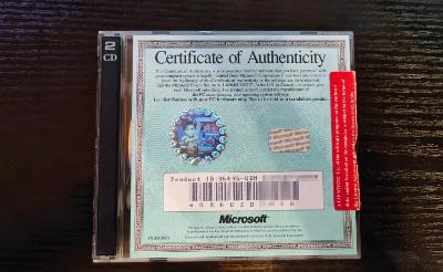 Microsoft Windows NT Server verze 3.51 s IIS Server v1.0 (rok 1995)