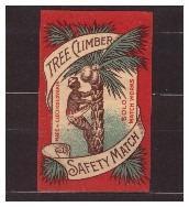 Zápalková nálepka- Tree Limber-muž trhající kokosy