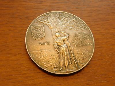 Ag strelby Vieden 1898 - vzacna medaila, krasny stav 0/0 
