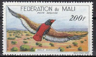 Ptáci - Mali