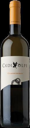 6 x Ca'Di Volpe Chardonnay (celý box)