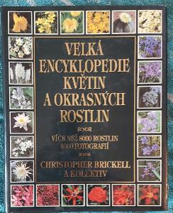 TOP Velká encyklopedie květin a okrasných rostlin 