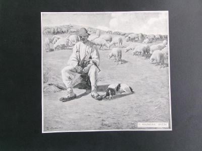 Malíř Koudelka Ovčák bača ovce pes veduta rytina