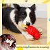 Odolná pískacia hračka pre psov - sova Deummiu - Psy a potreby na chov