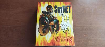 Skynet, hra na PC, krásný stav
