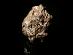 Meteorit | Lunárne NWA 13788 | Achondrit | 36,4g - Zberateľstvo