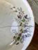 Starý porcelánový tanier - Starožitnosti a umenie