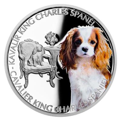 Psí plemena - Kavalír King Charles španěl, Stříbrná uncová mince 