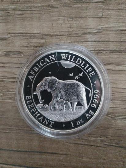Strieborná investícia mince slon, african wildlife elephant 1oz 2022 - Numizmatika