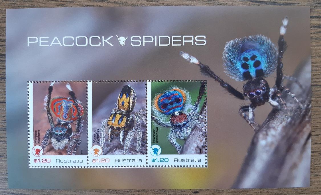 Austrália aršík **, pavúky, skákavky, r.2023 (aukcia GB443) - Tematické známky