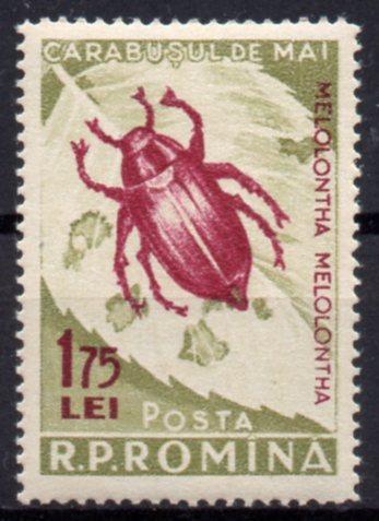 Rumunsko-Chroust obecný 1956**  Mi.1588a / 20 €