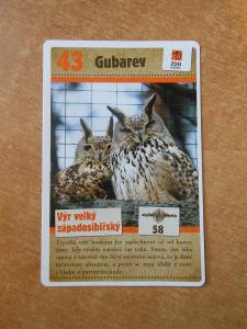 kartičky Albert_Hovorenie so zvieratkami_č. 43 Gubarev, výr veľký