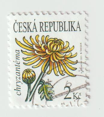 Česká republika 2011