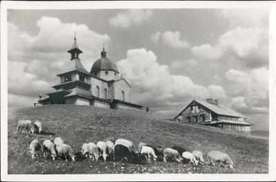 10D12774 Kaple- Radhošť, ovce