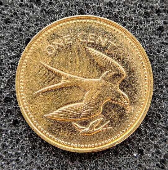 Belize 1 cent 1974 - Swallow-Tailed Kite - Numismatika